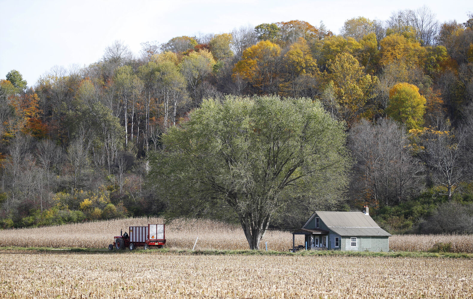 Farm scene